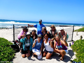 100+ years of expertise &amp; love for Oahu's Monk Seals