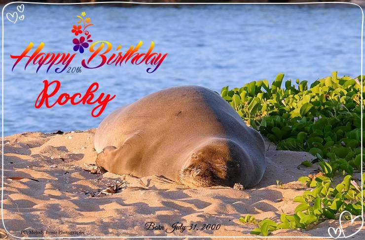 Happy Birthday Rocky 20