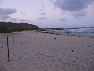 kaiwi beach 1