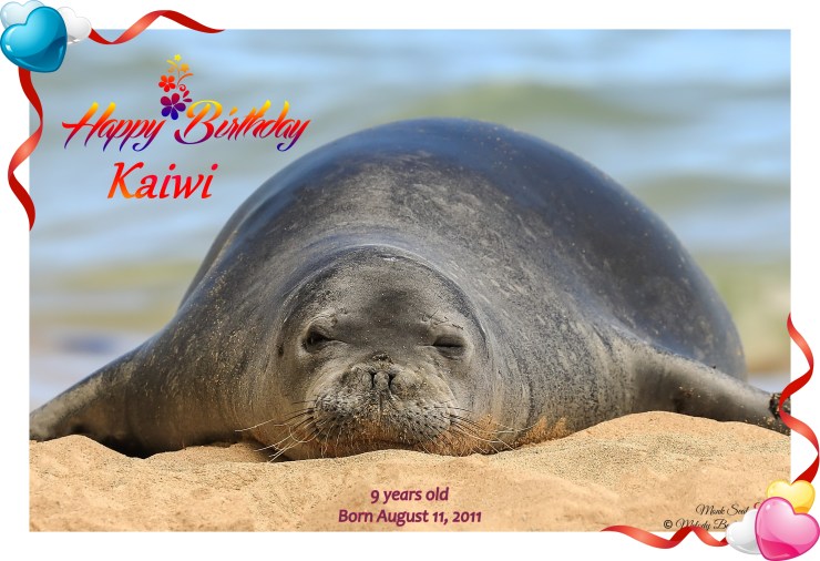 Kaiwi Birthday Card